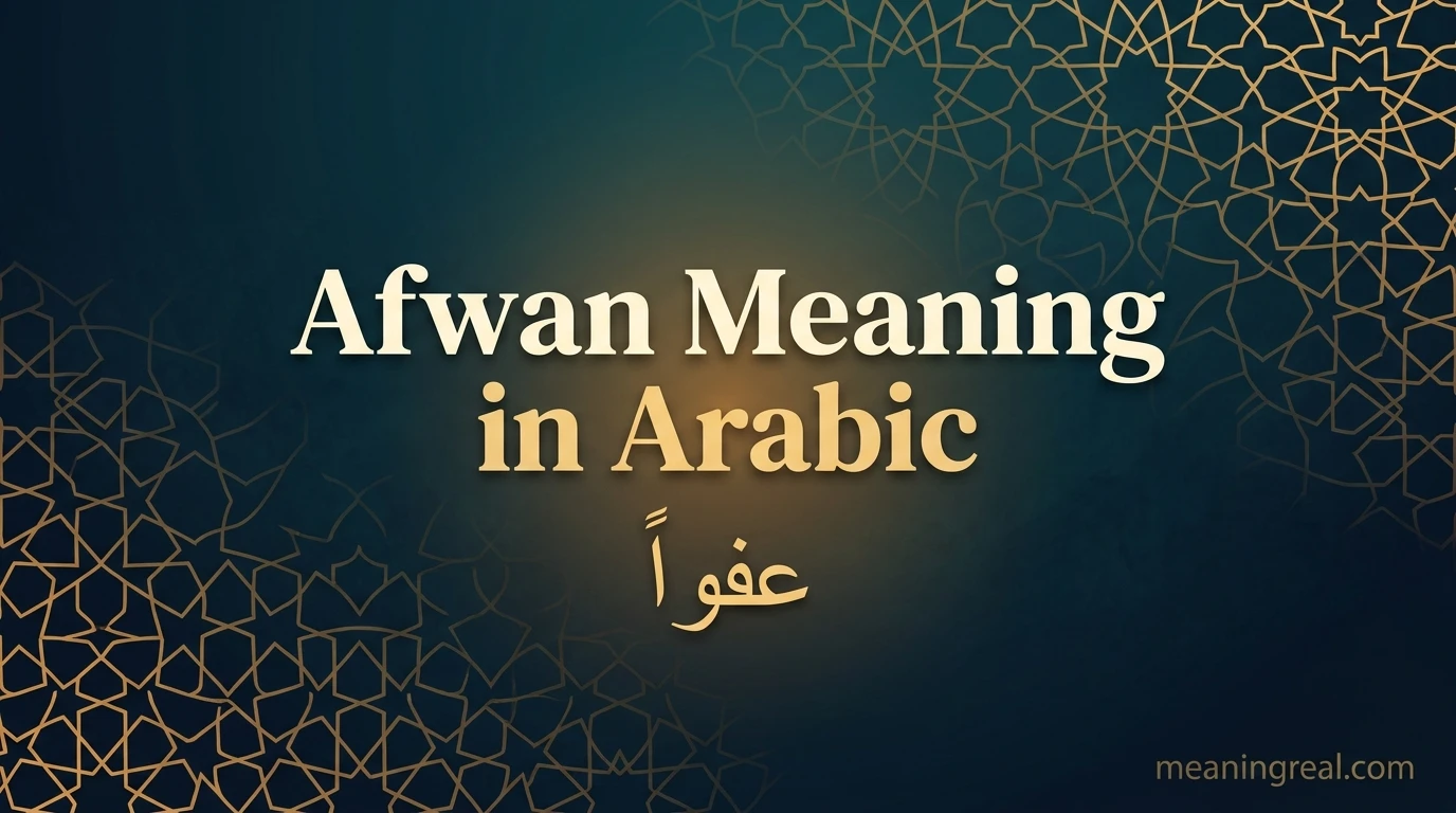 Afwan Meaning in Arabic