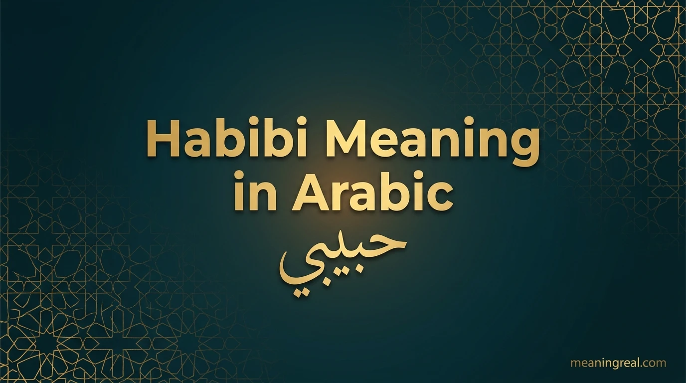 Habibi Meaning in Arabic